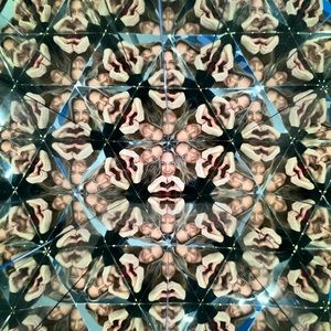 Meet your Posher, Robyn